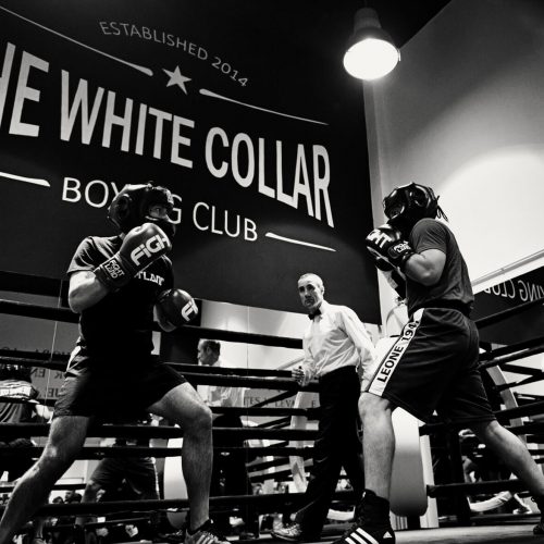 Fightland - Club Boxeo - White Collar Club